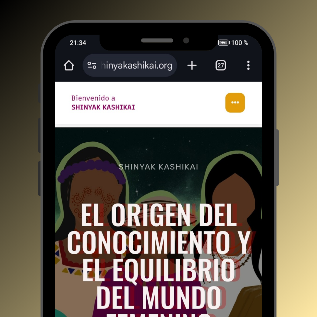 Portafolio Websky Panamá - SHINYAK KASHIKAI